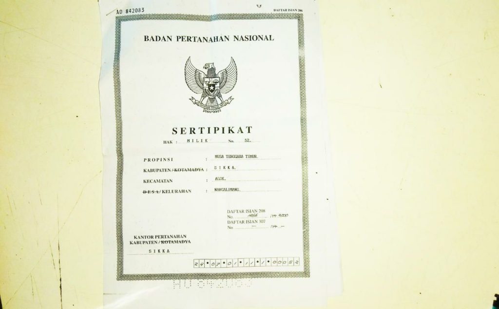 Tak Mau Jual Tanah Miliknya, Warga Sikka Dituduh Serobot Lahan