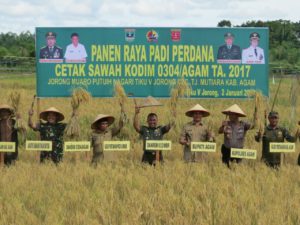 Korem 032/Wirabraja dan Dandim 0304/Agam bersama Pemda Agam ikuti Panen Raya Padi Perdana di Tiku