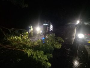Pohon Tumbang, Beberapa Ruas Jalinsum Macet
