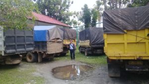 Dishut Kalteng Amankan Lima Truk Kayu Ilegal