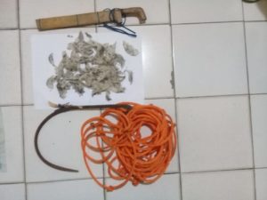 Mencuri Sarang Burung Walet, 4 Warga Diciduk Polisi