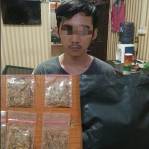 Berantas Narkoba, Polres Cilegon Ciduk Pengedar Tembakau Gorila