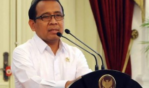 Pratikno : Pelantikan Kepala BNPB Ditunda