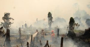 Kebakaran Hutan Lahan Semakin Meluas di Riau, Tembus 1.136 Hektare