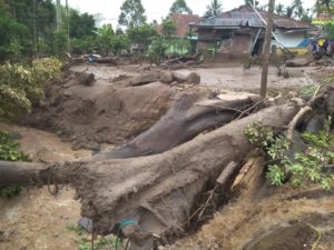 Peringatan Badan Geologi, 77 Daerah di Jatim Berpotensi Banjir Bandang