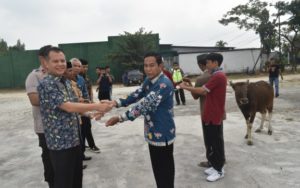 Pemerintah Kabupaten Gunung Mas Distribusikan Hewan Kurban