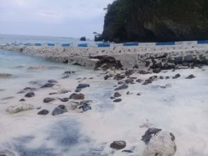 Pembangunan Tambatan Perahu di Pantai Ling’Al  Jadi Sorotan Masyarakat