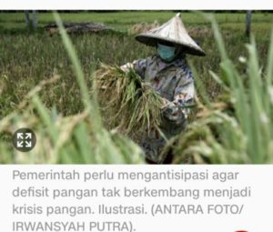 Jurus Indonesia Keluar dari Ancaman krisis Pangan