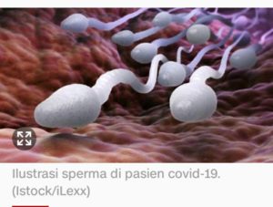Virus Corona Ada Juga di Sperma