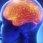 Ngeri! Infeksi Covid-19 Bisa Matikan Fungsi Otak