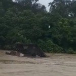 Banjir Bandang Terjang Katingan, Satu Rumah Hanyut