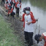 Minimalisir Dampak Megatrust, TAGANA Kemensos Tanam 2,7 Juta Bibit Mangrove