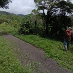 Pemeliharaan Keindahan dan Kerapihan Kota Liwa