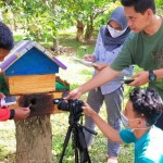 UNRI Teliti Lebah Madu Galo-galo Trigona Sawahlunto