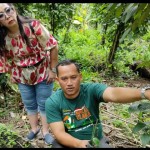 Petani Lada di Kampar Menunggu Sentuhan BUMN Perkebunan