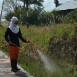 Jaga Keindahan Lingkungan, Petugas DLH Semprotkan Herbisida di Sepanjang Jalan