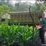 BPP Kecamatan Paju Epat Lakukan Kunjungan Kepada Kelompok Tani