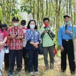 Prioritas Disektor Pertanian, Ketua Komisi II DPRD Bartim : Masih Banyak Lahan Tidur