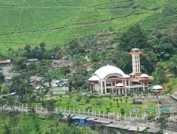 Dampak Covid-19, Vila Vila di Puncak Diobral di Bawah 1 Miliar