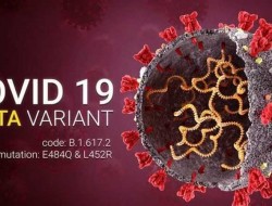 Ini 10 Provinsi yang Sudah Diserang Varian Delta