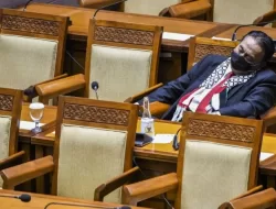 Rakyat Miskin Menderita, DPR Anggarkan Rp 2 Miliar untuk Vitamin