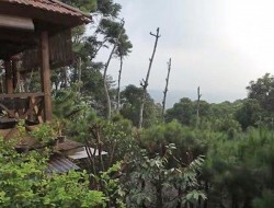 BPN Bogor : Sertifikat Lahan Rumah Rocky Gerung Milik Sentul City