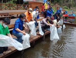 Dinas Perikanan dan Peternakan Bartim Laksanakan Restocking Diperairan Krisis Ikannya