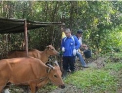Dua Dinas Berkolaborasi Lakukan Penyuluhan bagi Para Petani
