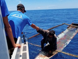Lima Hari Terapung di Laut, Nelayan Mentawai Diselamatkan Bule Australia