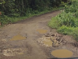 Jalan Jihi  Desa Tuyau, Anggota DPRD Bartim Harapkan Agar Segera Diperhatikan Pemda