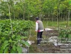 BPP Kecamatan Paju Epat Lakukan Pendampingan dan Uji Coba Alat Perdana Otomatis