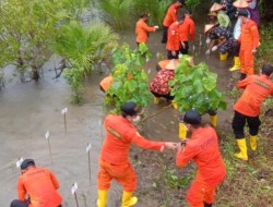 Basarnas Peduli Pelestarian Hutan Manggrove Dengan Penanaman Pohon Bakau
