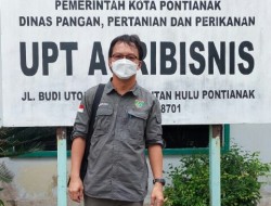 Diduga Akibat Virus ASF Sekitar 1.528 Ekor Babi Mati di Barito Timur