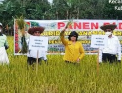 Panen Raya Padi BTS, Dihadiri Ditjen PTKP Kementerian RI