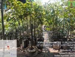 BPP Laksanakan Pengawalan dan Pendampingan di Dua Lokasi