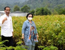 Megawati Minta Jokowi Tutup Semua Kegiatan Tambang