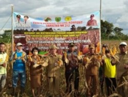 DPKP Bartim Bekerjasama dengan KBTS Laksanakan Panen Perdana Jagung Kompisit