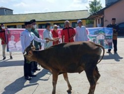 Penyerahan Hewan Qurban Pemprov Kalteng di Hadiri Management PT SEJ dan HL Group
