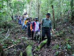 Gubernur Survey Jalan Tembus Malalak-Sungai Batang   