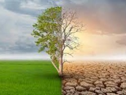 Diskusi SATUPENA, Yohanes Wahyu Prasetyo: Perubahan Iklim adalah Contoh Dosa Struktural