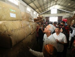 Ganjar Pranowo akan Bangun Jawa Tengah sebagai Pusat Tembakau di Indonesia dan Dunia
