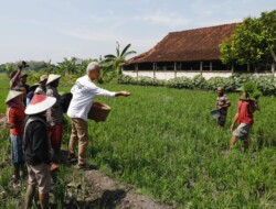 Capres Ganjar Pranowo Tuding Distribusi tidak Tepat Sasaran, Pupuk Bersubsidi Langka di Seluruh Indonesia