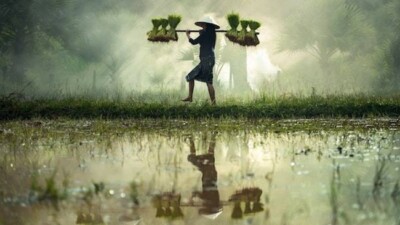 Kebijakan Pemerintah jadi Katalis Ambruknya IHSG dan Gelombang Aksi Mahasiswa