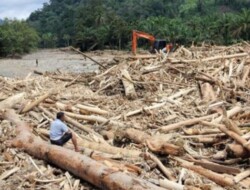 Banjir Dipicu PLTA, HTI, Pertambangan dan Kebun Sawit, KLH Hentikan Operasional Perusahaan