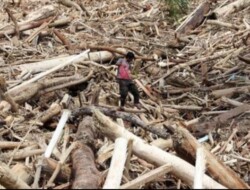 LBH Terus Desak Status Bencana Nasional ke Prabowo, DPR Panggil Menhut Terkait Kayu Gelondongan