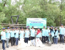 Tanam Mangrove, PT Bhirawa Steel Buktikan Dukungan Komitmen Pelestarian Lingkungan di Surabaya