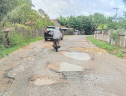 Bupati Kuansing Diduga Buta Mata ! Jalan Kabupaten Di Kecamatan Kuantan Hilir Seberang Rusak Parah