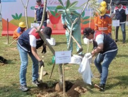 Tanam 17.000 Pohon di Tol Sumatera, Hutama Karya Kejar Value Added dari Carbonisasi