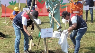 Tanam 17.000 Pohon di Tol Sumatera, Hutama Karya Kejar Value Added dari Carbonisasi