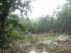 Diduga Ada Perusakan Lingkungan Hidup di Kawasan Pelabuhan Penasahan Painan, Warga Minta DLH dan Gakkum Turun ke Lokasi